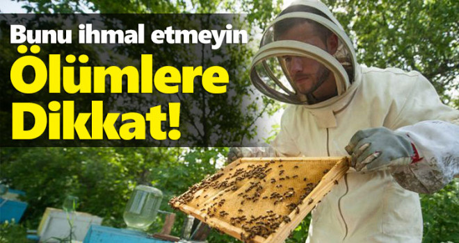 Arı ölümlerine karşı ilaçlama uyarısı