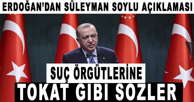 Erdoğan'dan Süleyman Soylu açıklaması! Suç örgütlerine tokat gibi sözler