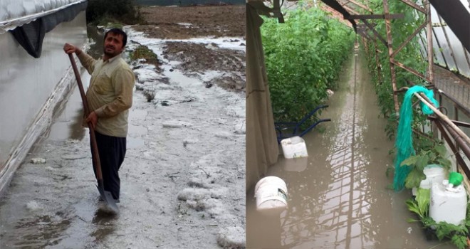 Kaş'ta Seraları Su Bastı