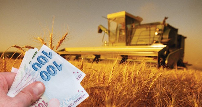Çiftçilere Destek Ödemesi Başlıyor
