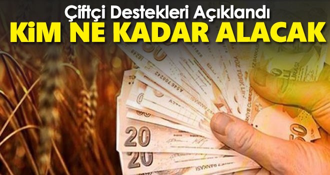 Hububat destekleri açıklandı kim ne kadar para alacak?
