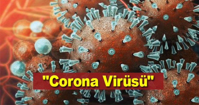 Corona Virüsü Nedir ?