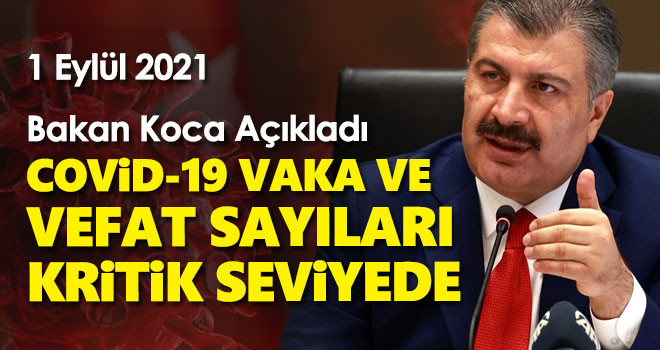 1 Eylül koronavirüs tablosu! Vaka Sayılarında Son Durum