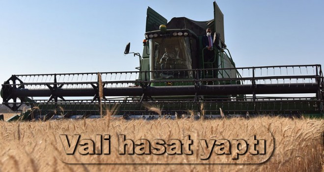 Vali Işık hasada katılıp mevsimlik işçileri ziyaret etti