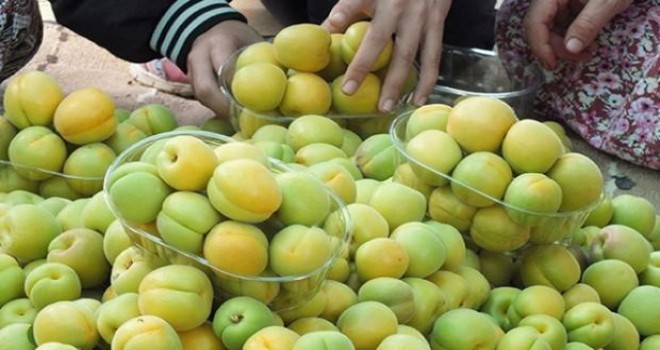 Kilogram Fiyatı 60 TL