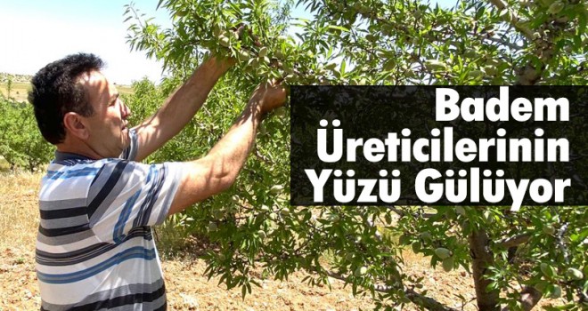 Karaman’da Badem Üreticilerinin Yüzü Gülüyor