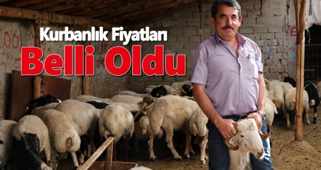 Küçükbaş kurbanlıkların canlı kilo fiyatları belli oldu