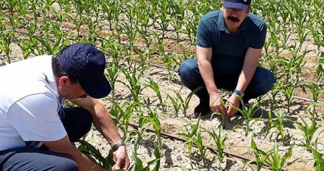 Karapınar'da çiftçilere eğitim semineri verildi