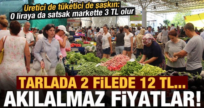 Akılalmaz fiyatlar! Tarlada 2 filede 12 TL