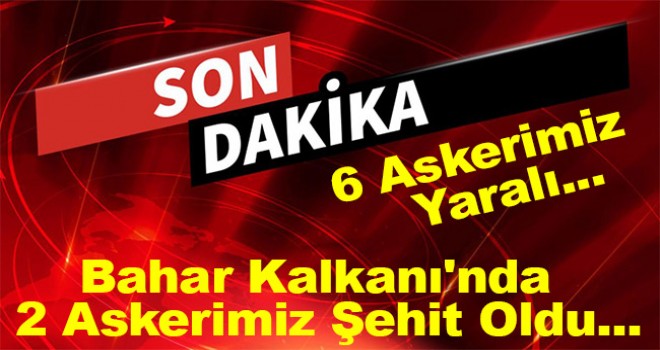 Bahar Kalkanı'nda 2 askerimiz şehit oldu