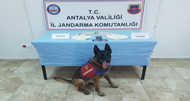 Antalya'da yolcunun bilgisayar çantasında 2 kilo 40 gram kokain bulundu