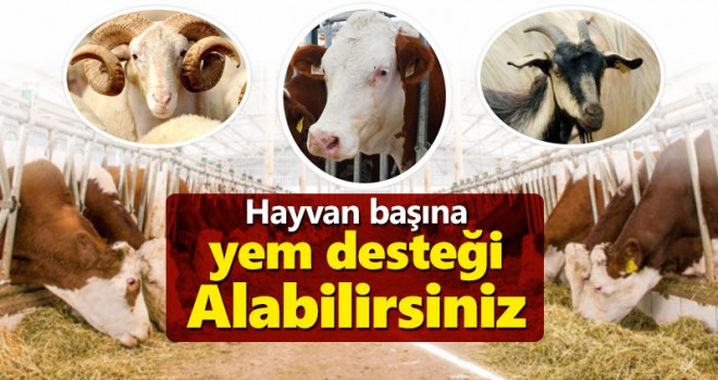 Küçük kapasiteli hayvancılık işletmelerine yem desteği