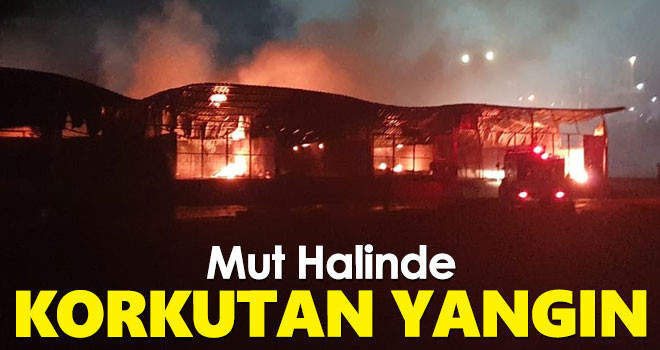 Mut Halinde Korkutan Yangın