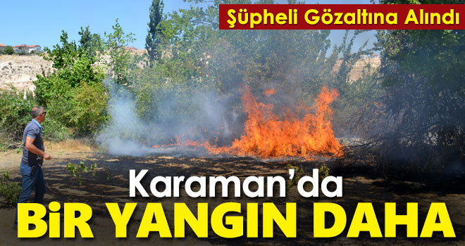 Karaman'da tarlada çıkan, elma bahçesine de sıçrayan yangın söndürüldü