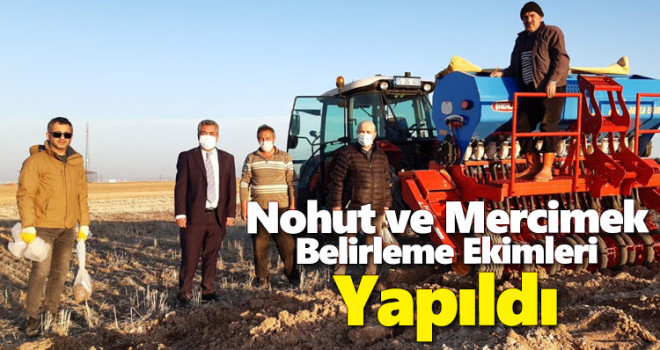 Karaman için en uygun nohut ve mercimek belirleme çalışmaları yapılıyor