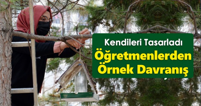 Öğretmenler, geri dönüşüm malzemeleriyle kuşları yuva sahibi yaptı