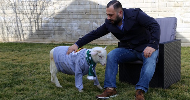 ''Kuzu Alex'' Sosyal Medyada İlgi Görüyor