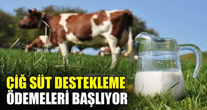 Çiğ süt desteği ödemeleri başlıyor! İşte hesaba yatacağı saat...