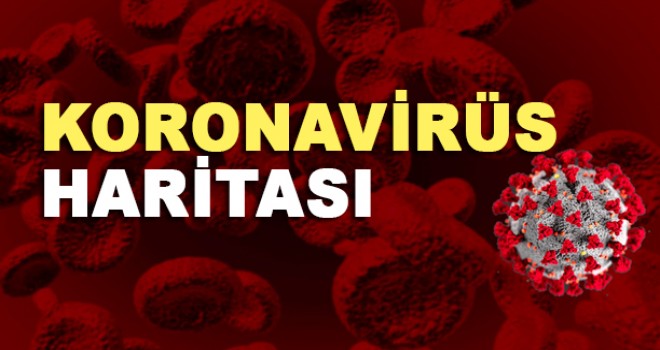 Koronavirüs Haritası
