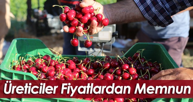 Karaman'da kiraz üreticileri fiyatlardan memnun