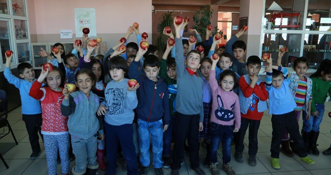 81 il'iz, Hepimiz Biriz