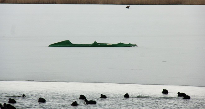 Soğuk Havadan Göl Dondu