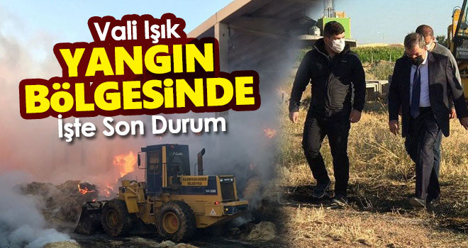 Vali Işık yangın bölgesinde! İşte çiftlik yangınında son durum