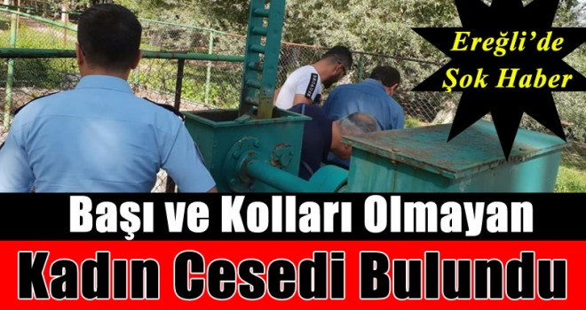 Başı ve Kolları Olmayan Bayan Cesedi Bulundu