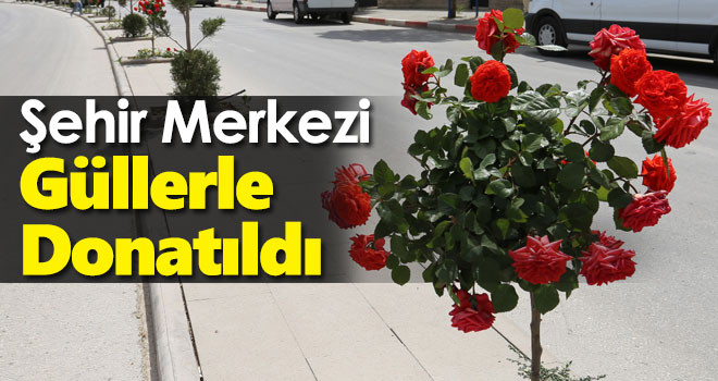 Karaman şehir merkezi güllerle donatıldı