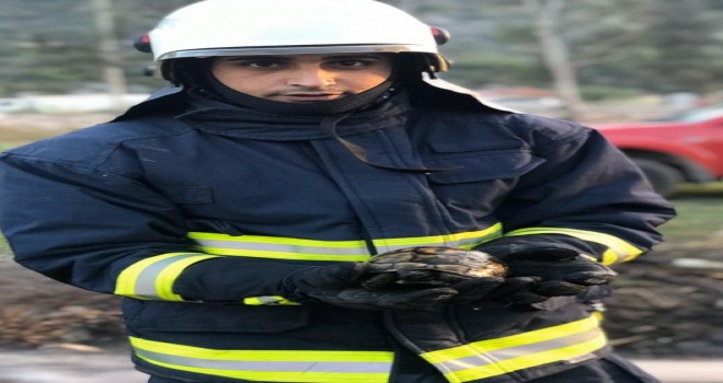 Kaplumbağayı yanmaktan itfaiye kurtardı
