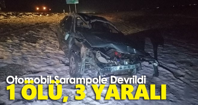 Konya'da şarampole devrilen otomobilin sürücüsü öldü