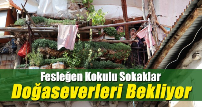Ermenek fesleğen kokulu sokaklarıyla ziyaretçilerini bekliyor