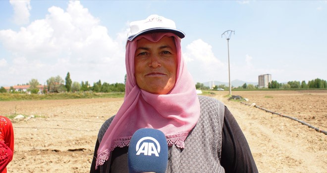 Tarlada İşçilik Yaparak Patronluğa Yürüdü