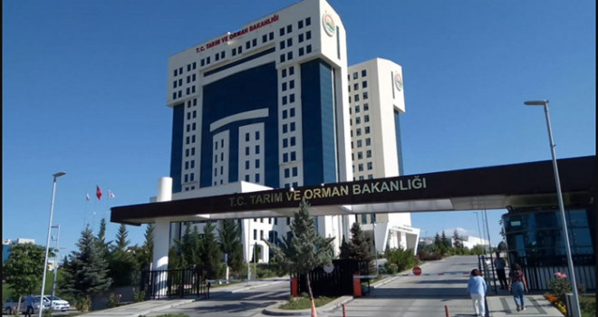 Tarım ve Orman Bakanlığı üretme, koruma ve rehabilite çalışmalarıyla yaban hayatına kalkan oldu