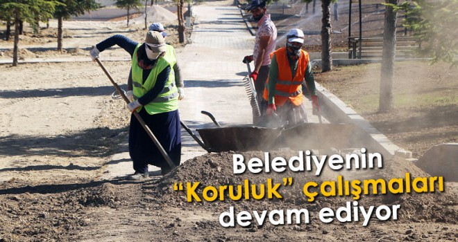 Korulukta Çalışmalar Devam Ediyor