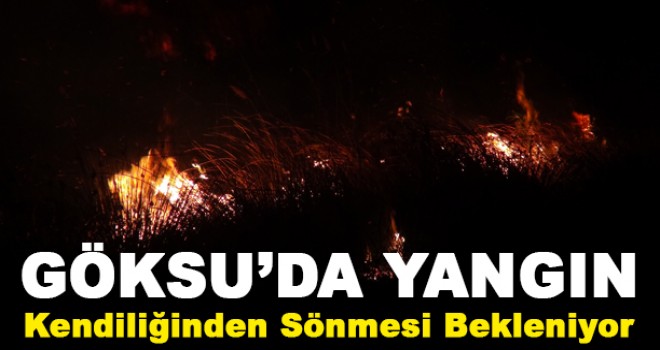 Göksu Deltası'nda Yangın