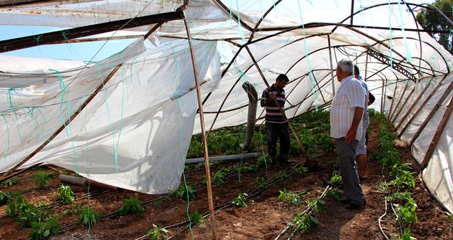 Hortum Seralara Zarar Verdi