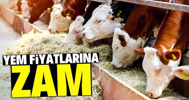 Yem Fiyatları Uçuşa Geçti! Zam Üstüne Zam!