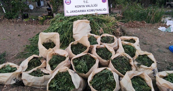 225 Kilo Esrar Ele Geçirildi