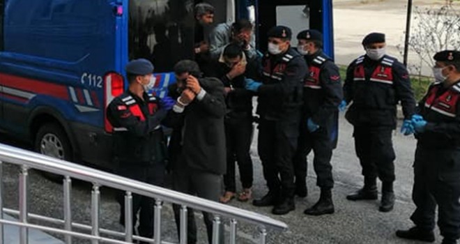 15 büyükbaş hayvanı çalan 7 şüpheli tutuklandı