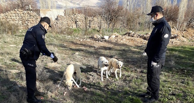 Niğde polisi sokak hayvanlarını unutmadı