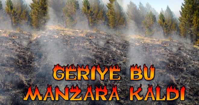 Orman yangını söndürüldü