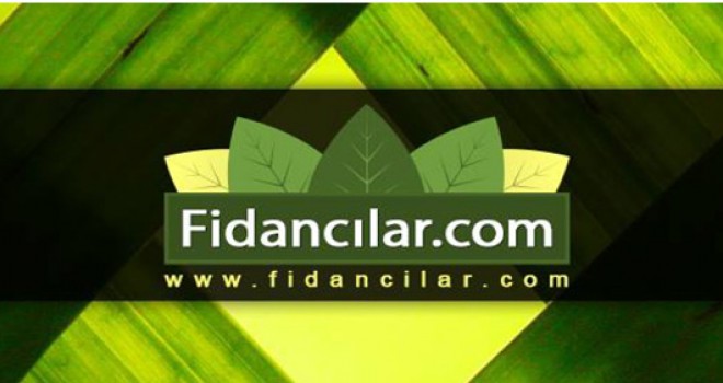 Meyve Fidanı Nereden Alınır?