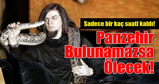 Aref Ghafouri Ölümle Pençeleşiyor! Panzehir Bulunmazsa Ölecek