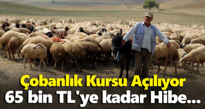 İŞKUR Tarafından Çoban-Sürü Yönetim Elemanı Kursu Açıldı