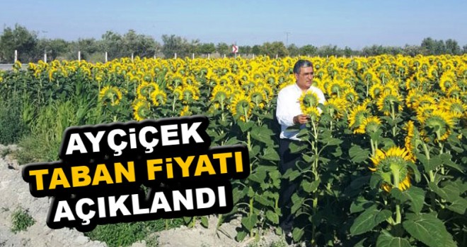 Konya Şeker ayçiçek taban fiyatını açıkladı