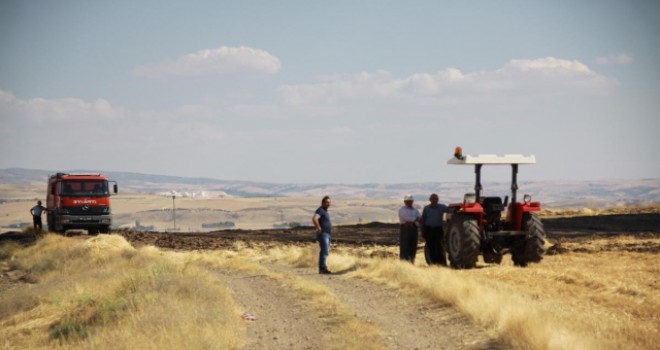 100 Dönüm Tarım Arazisi Yandı