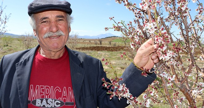 Gördüğü Rüya Üzerine Yarım Milyon Harcadı