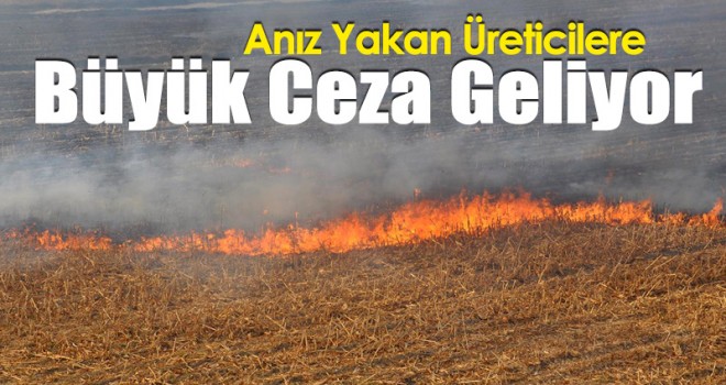 Anız Yakan Üreticilere Büyük Ceza Geliyor