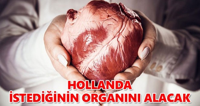 Hollanda'da organ bağışı kararı için son 10 gün